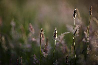 独立游戏《黏液》登陆XB1＆XS＆PC 发售预告片分享